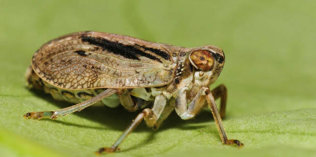 13:25: Unerklärliche Phänomene - Ancient Aliens | Kabel Eins Doku | 12/9 2025