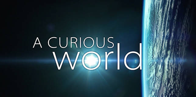 A Curious World