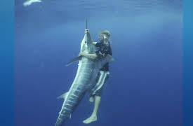 Mad Man of the Sea Season 1: The Stunt to End All Stunts