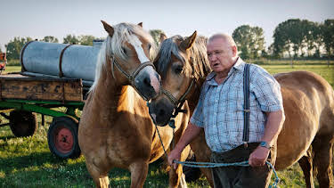 20:15: Krauses Zukunft | One | 4/30 2026