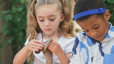 4:20 PM: Tiny Tunes (S1) | Cbeebies | 6/13 2026