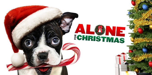 Alone for Christmas (2013)