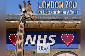 London Zoo: An Extraordinary Year: Episode 1