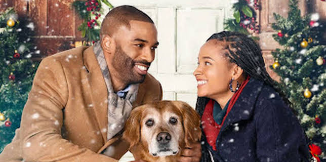 20:00: A Christmas Stray | TV6 | 12/3 2025