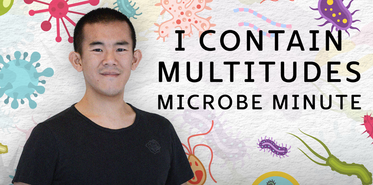 I Contain Multitudes: Microbe Minute, Season 1