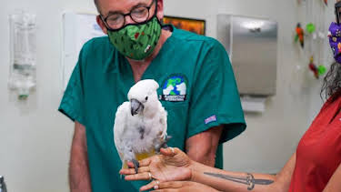 3:00 PM: Dr. Jeff: Rocky Mountain Vet (S7) | Discovery Channel | 9/8 2026