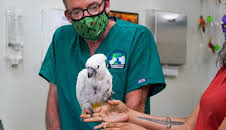 Dr. Jeff: Rocky Mountain Vet