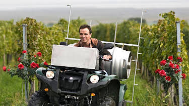 14:30: Der Winzerkönig (25/39) | BR Fernsehen | 4/5 2026