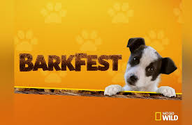 BarkFest: Is Your Dog A Genius? Who's Your Doggy?