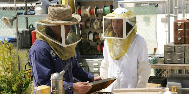 07:55: CSI: Den Tätern auf der Spur | VOX | 12/4 2025