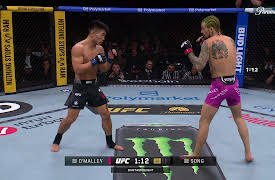 UFC: Sean O'Malley vs. Song Yadong (UFC 324: Gaethje vs. Pimblett - Main)