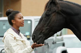 Beyond Black Beauty: Losing My Religion