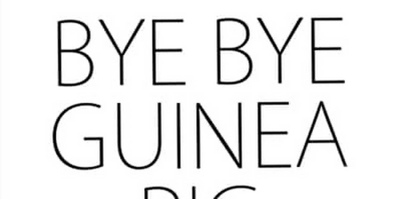 Bye Bye Guinea Pig (2015)