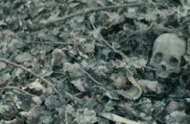 The Innocent Man: Mord och orättvisa i en småstad: Corpus Delicti