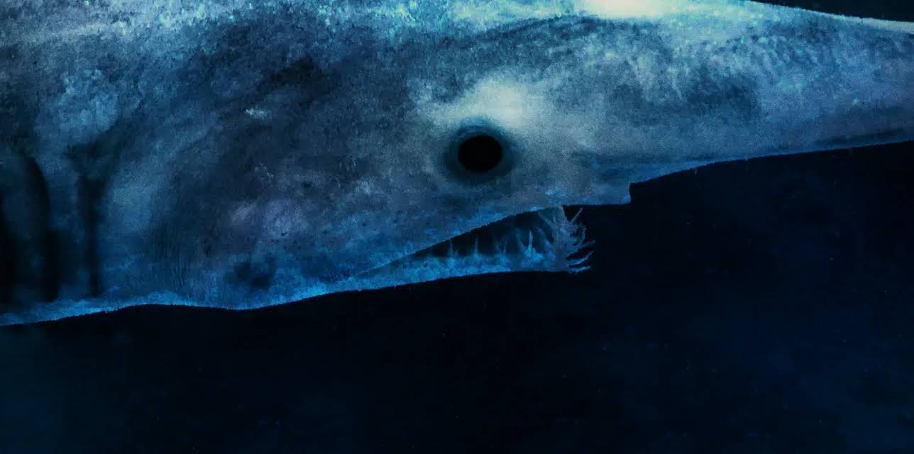 Alien Sharks: Stranger Fins (2017)
