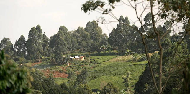 08:06: Stadt Land Kunst | Arte | 11/18 2025