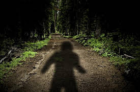 Paranormal Caught on Camera, Season 1: Shadow Person and More