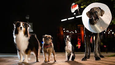 23:00: Doggy Style | Viasat Premiere | 4/15 2026