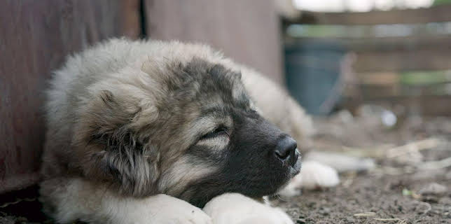 08:40: 360° Reportage | Arte | 2/7 2026