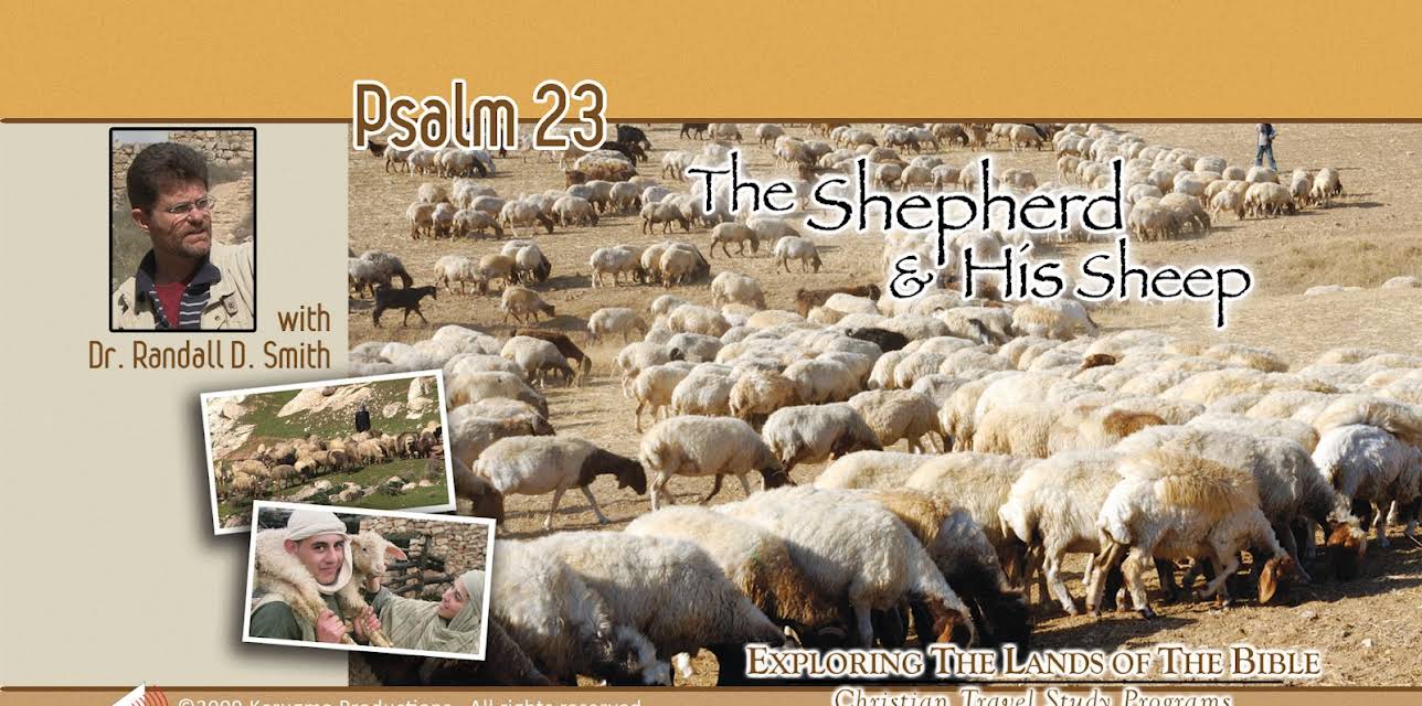 Ps 23 - The Shepherd and his Sheep