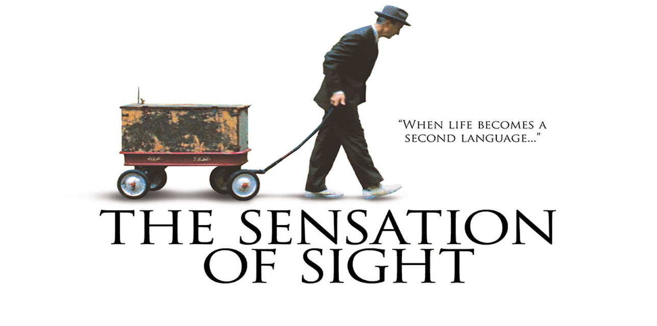 The Sensation of Sight (2006)