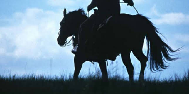 The Horse Whisperer (1998)