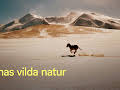 Kinas vilda natur