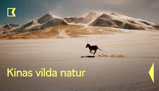Kinas vilda natur