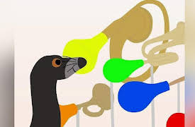 Peek Zoo: Stonking Honking