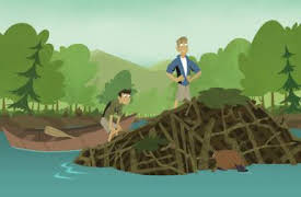 Wild Kratts: Episode 8