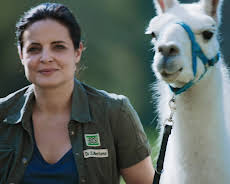 Tierärztin Dr. Mertens (72)