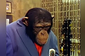 Lancelot Link: Secret Chimp: Lancelot Link: Secret Chimp - Lance of Arabia / The Doctor Goes Ape
