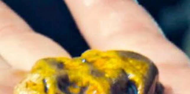 07:30: La fiebre del oro: aguas bravas: El regalo dorado de Fred | Discovery | 3/6 2026