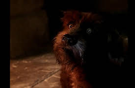 Jim Henson's The Storyteller: Hans My Hedghog