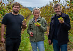 Sarah Beeny's New Life in the...