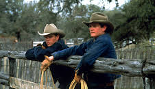 All die schönen Pferde