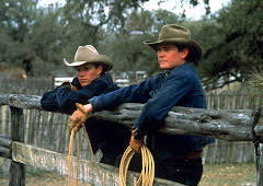 All die schönen Pferde