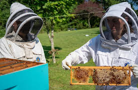 From the Source, Season 1: Honey