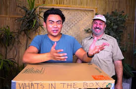 Guava Juice: Life Simulator / What's in the Box Challenge