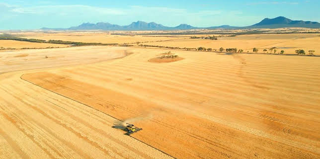 1:30 PM: Tech Now | BBC News | 1/25 2026