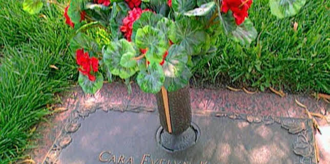 03:20: Medical Detectives - Geheimnisse der Gerichtsmedizin | VOX | 1/30 2026