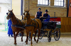 The Amazing Race: What Would Houdini Do?