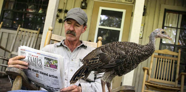 12:30 PM: Natural World | BBC Two | 11/22 2025