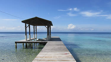 09:00: Husjakt i Karibia (S19 E3) (S19) | VOX | 3/27 2026