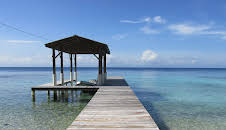 Husjakt i Karibia (S13 E2)