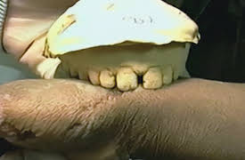 The Innocence Files: The Evidence: Indeed and Without Doubt