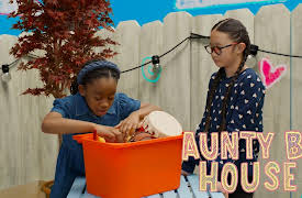 Aunty B's House: Music Night