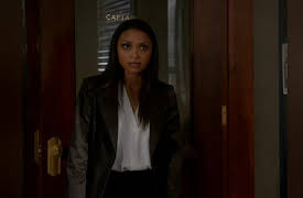 The Flash: The Complete First Season: Who is Harrison Wells?