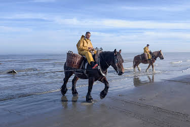 15:20: Leben an der Nordsee (3/6) | 3SAT | 4/17 2026