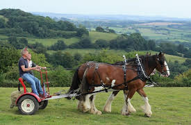 Martin Clunes: Man and Beast: Episode 2